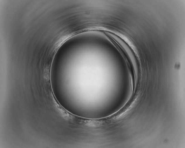 X0000091090905200708131317