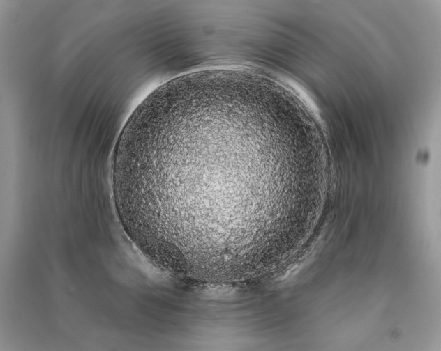 X0000091090907200708131317