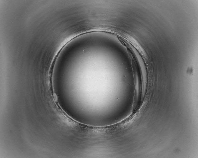 X0000091090908200708131317