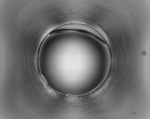 X0000091090909200708131317