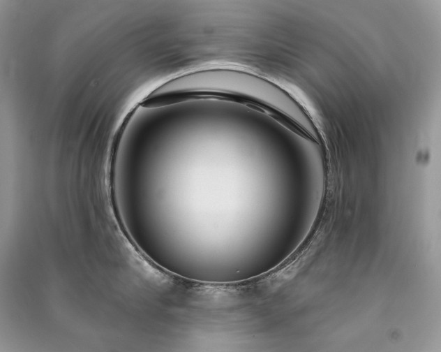 X0000091090910200708131317