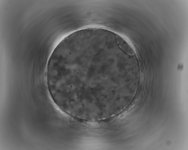 X0000091090911200708131317