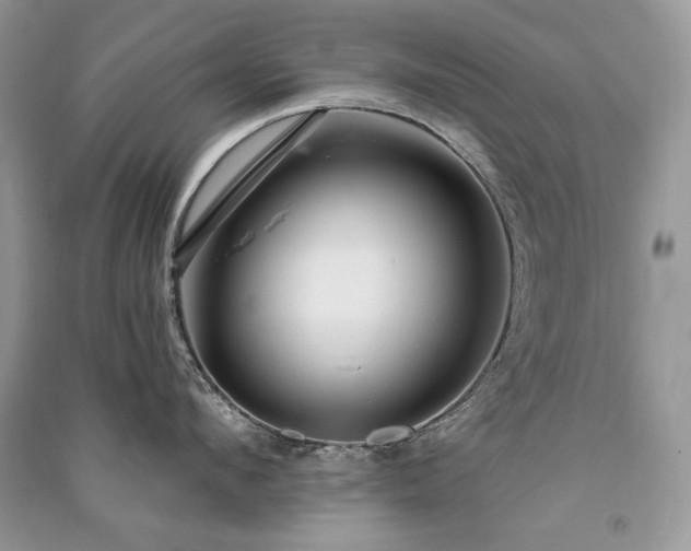 X0000091090912200708131317