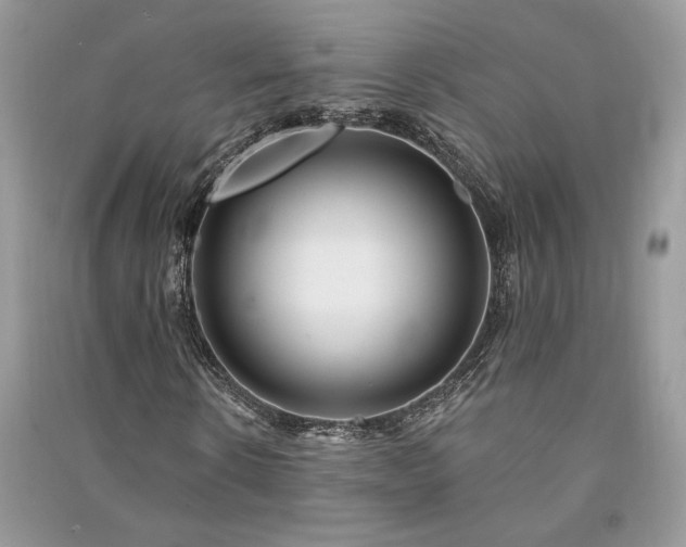 X0000091090914200708131316