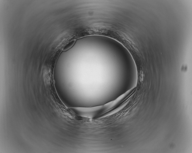 X0000091090915200708131316