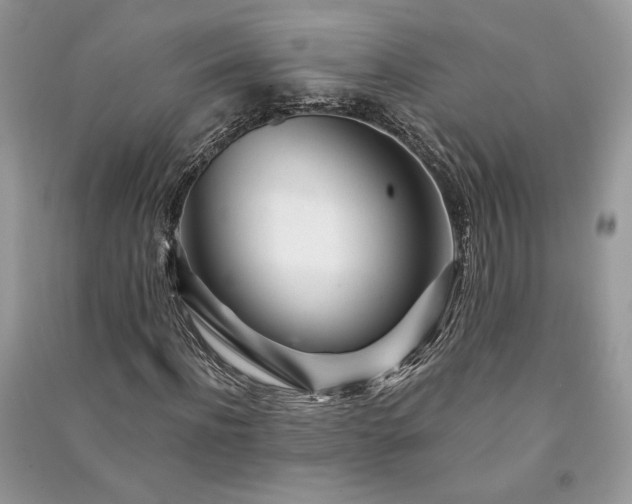 X0000091090916200708131316