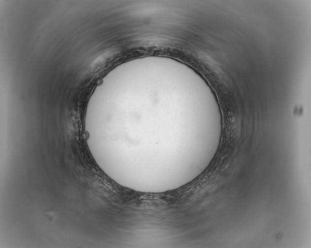 X0000091090918200708131316