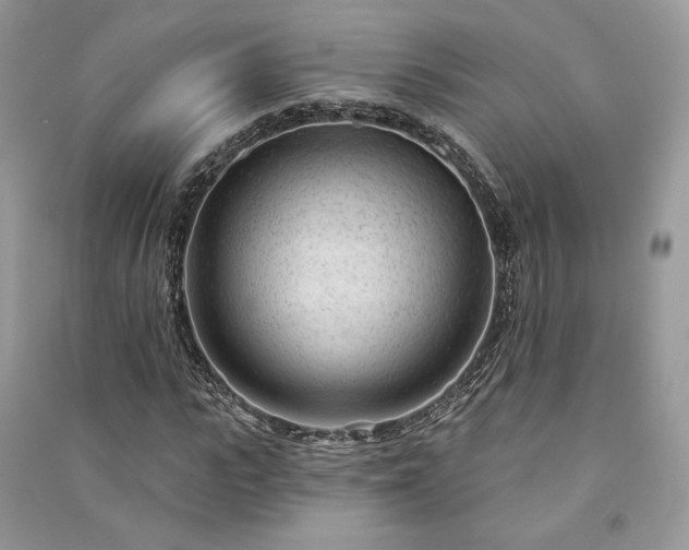 X0000091090919200708131316