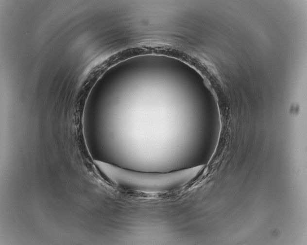 X0000091090920200708131316