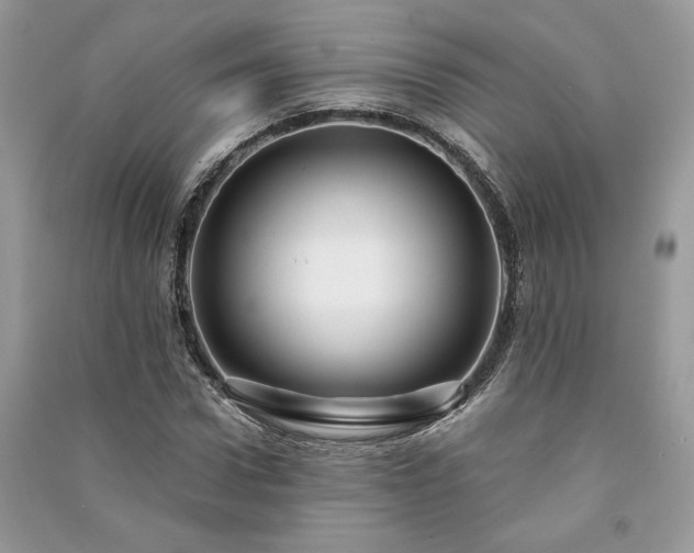 X0000091090922200708131316