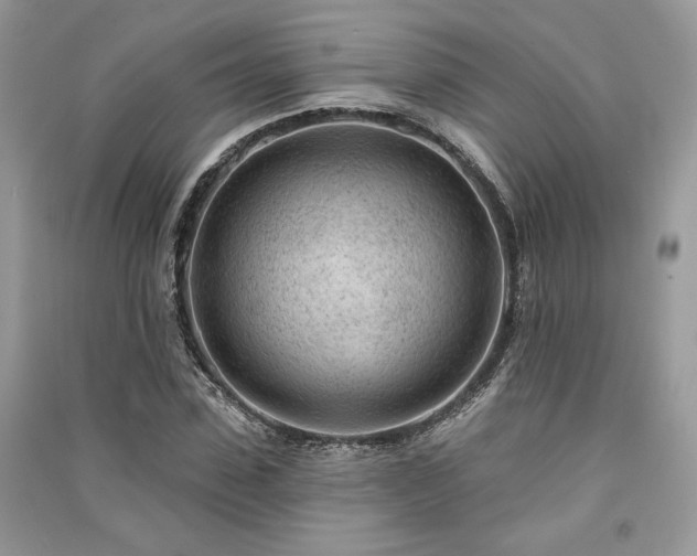 X0000091090923200708131316