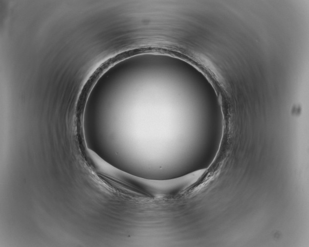 X0000091090924200708131316