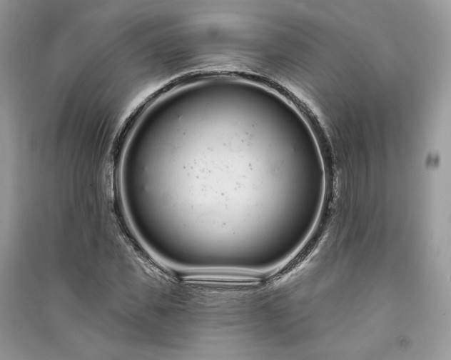 X0000091090925200708131316