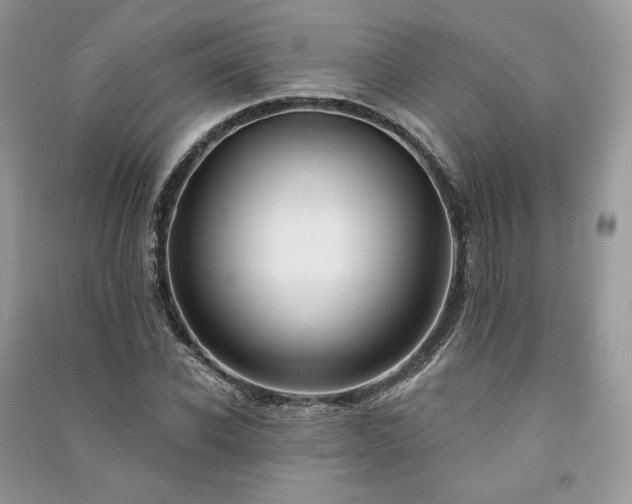 X0000091090926200708131316