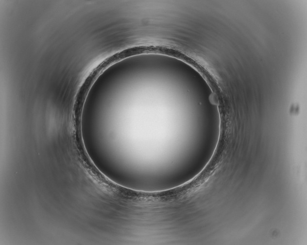 X0000091090927200708131316