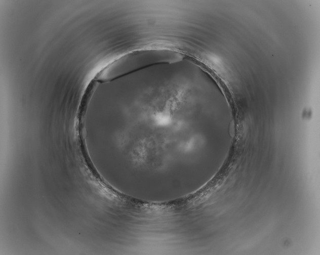 X0000091090928200708131316