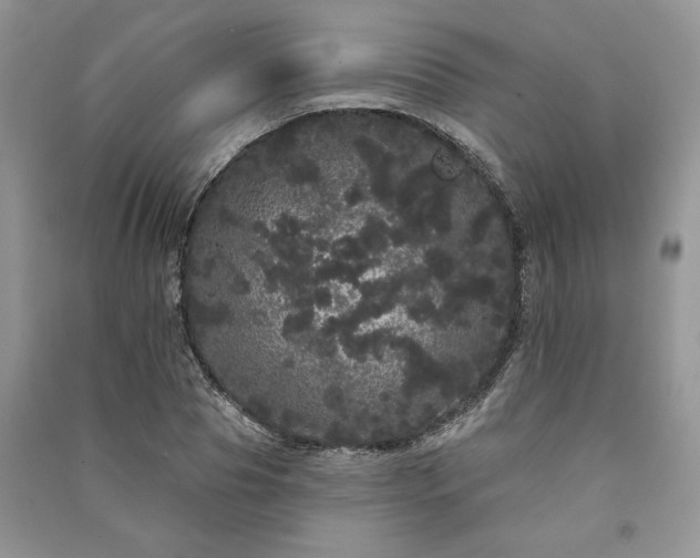 X0000091090929200708131316