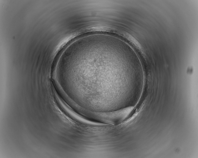X0000091090930200708131316
