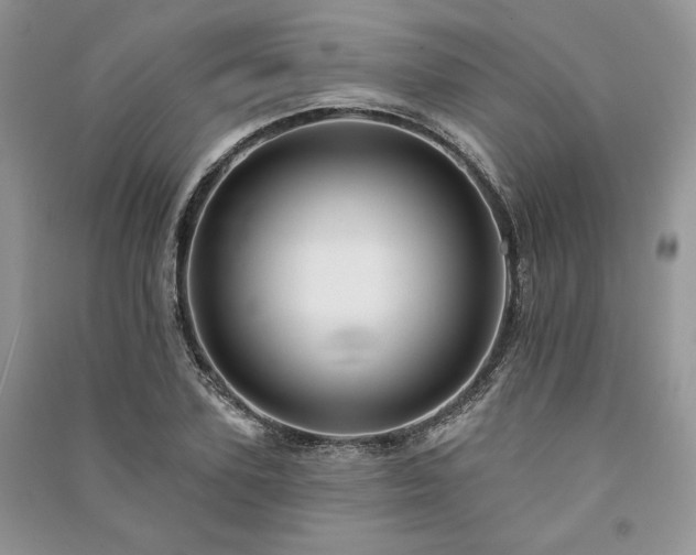 X0000091090931200708131316