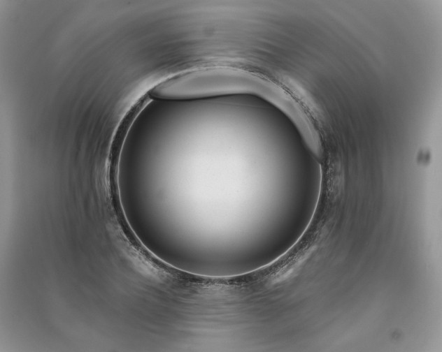 X0000091090932200708131316
