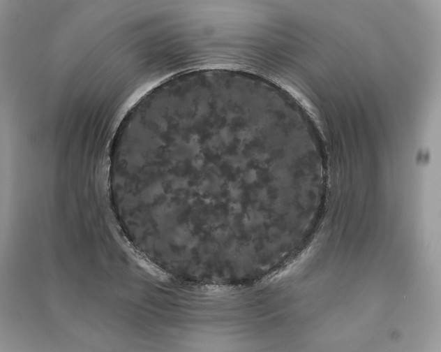 X0000091090933200708131316
