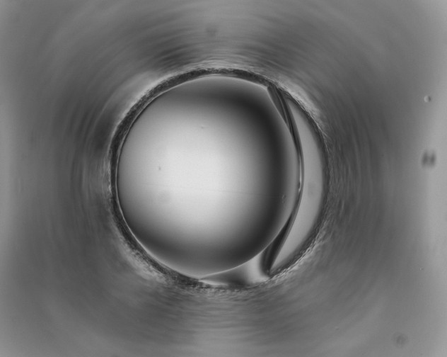 X0000091090934200708131316