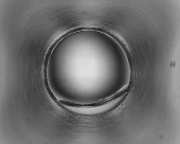 X0000091090935200708131316