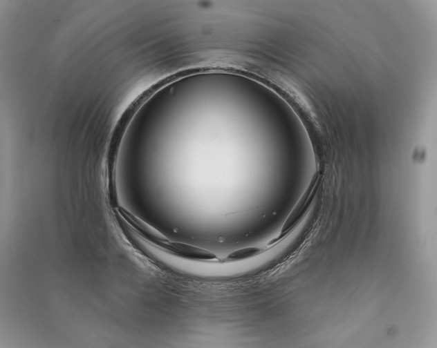 X0000091090936200708131316