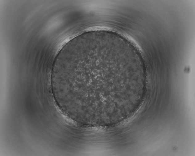 X0000091090937200708131316