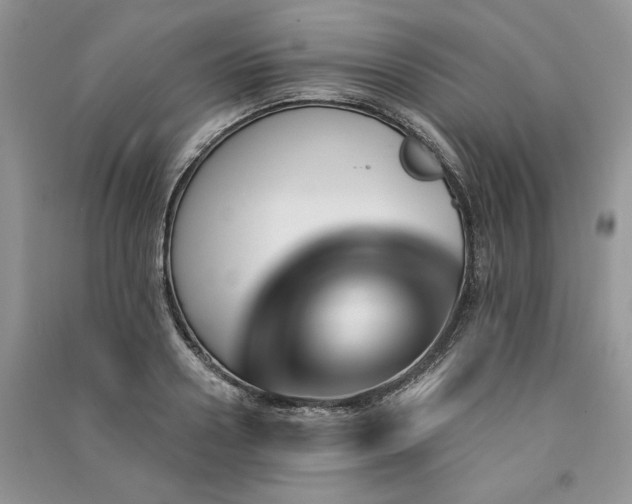 X0000091090938200708131316