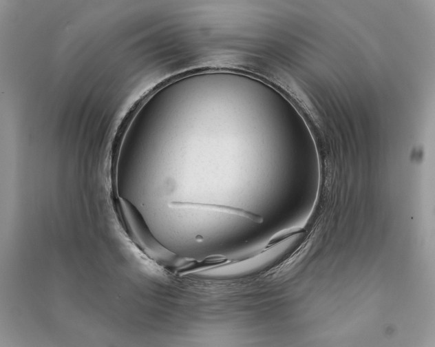 X0000091090939200708131316
