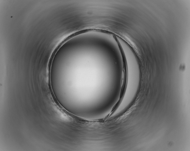 X0000091090940200708131316