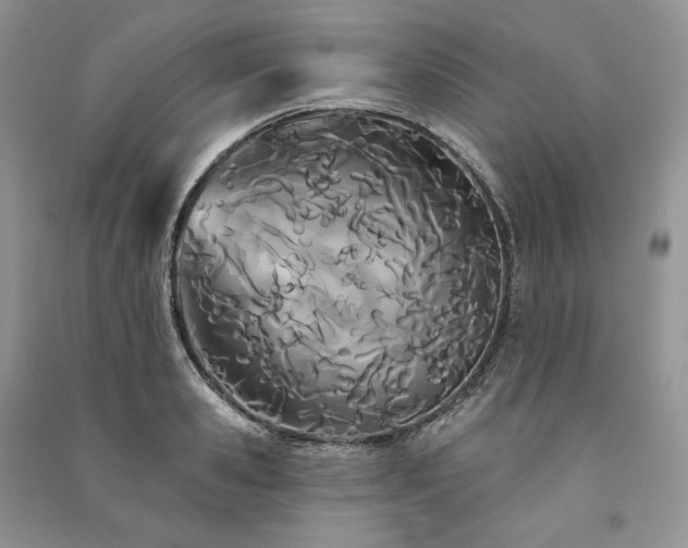 X0000091090941200708131316