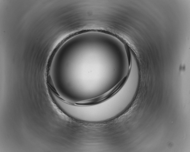 X0000091090942200708131316