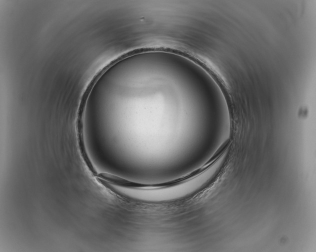 X0000091090943200708131316