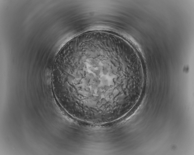 X0000091090945200708131316