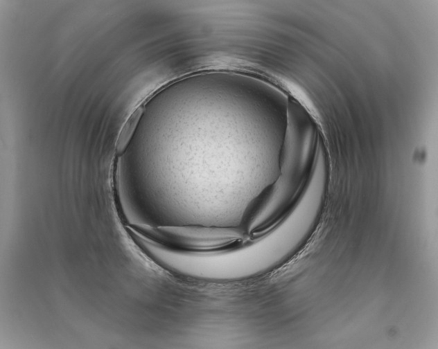 X0000091090946200708131316
