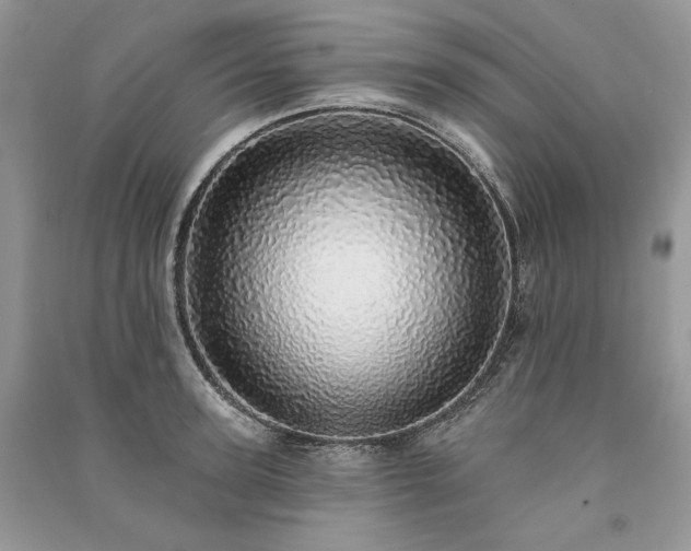 X0000091090947200708131316