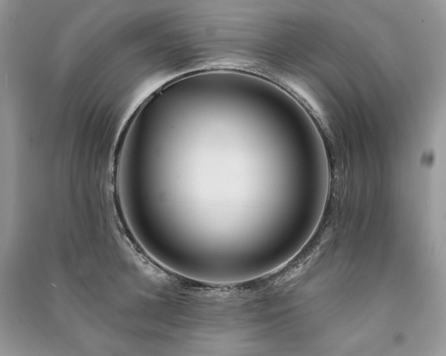 X0000091090948200708131316