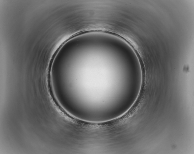 X0000091090949200708131316