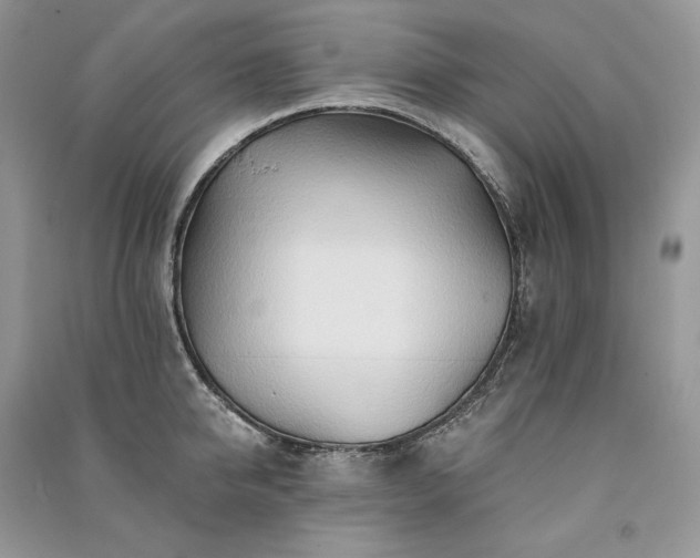 X0000091090950200708131316