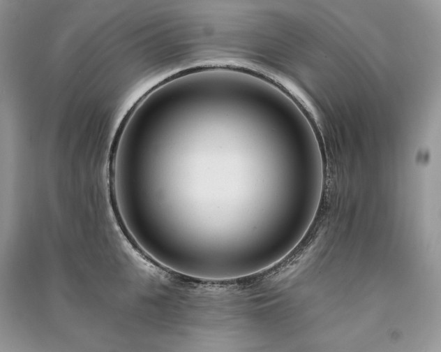 X0000091090951200708131317