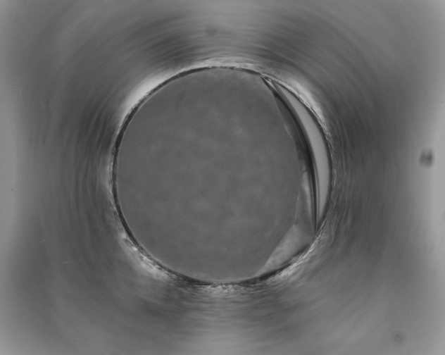 X0000091090952200708131317