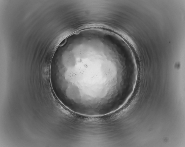 X0000091090953200708131317