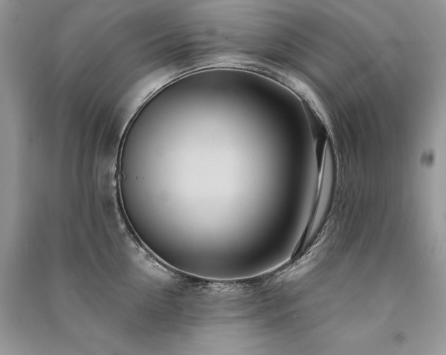 X0000091090954200708131317