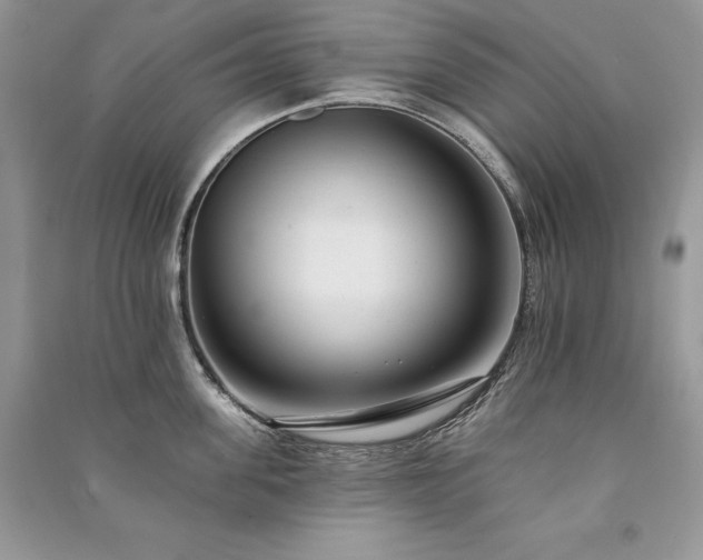 X0000091090955200708131317
