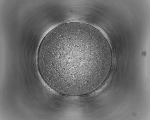 X0000091090957200708131317