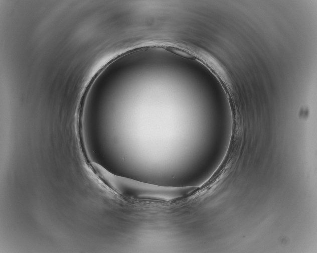 X0000091090958200708131317