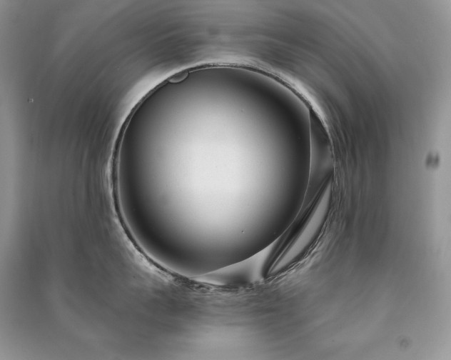 X0000091090959200708131317