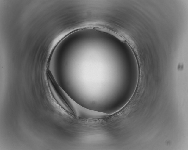 X0000091090960200708131317
